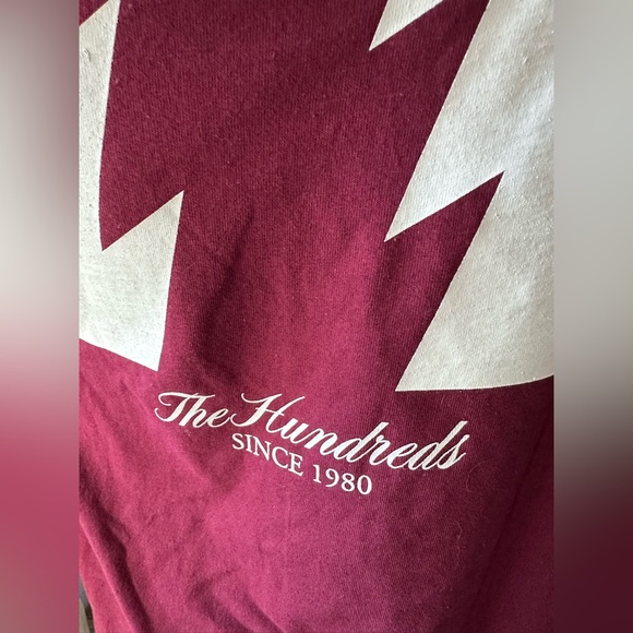 The Hundreds Wildfire Long Sleeve T-Shirt NWT - Picture 6 of 11